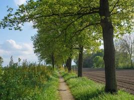 sommar tid i Westfalen foto