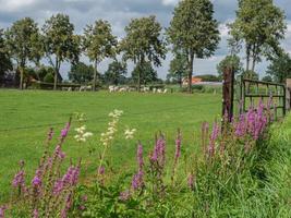 sommar tid på de tysk by weseke foto