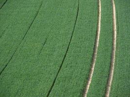 de tysk baumberge nära bilderbeck foto