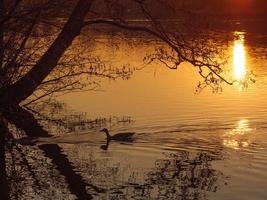 solnedgång på en tysk sjö foto