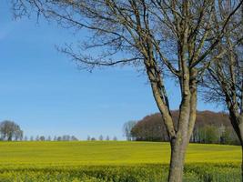 vår tid i de tysk baumberge foto