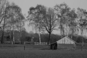 sommar i Westfalen foto