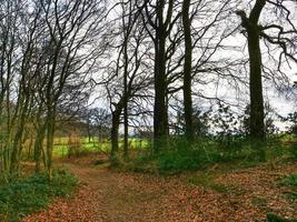 vandring nära reken i de tysk muensterland foto