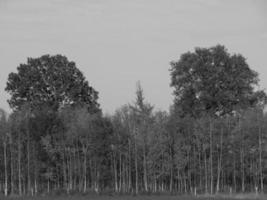 Westfalen i Tyskland foto