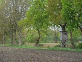 vandring i en skog nära ahaus Tyskland foto