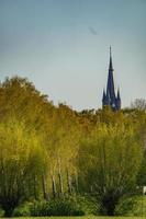 träd i Westfalen foto