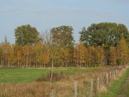 vandring nära burlo i Westfalen foto