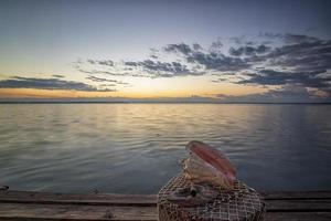 idyllisk se med snäckskal mot de bakgrund av de hav soluppgång eller solnedgång. en tropisk semester. foto