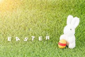 kanin leksaker och påsk ägg med text foto