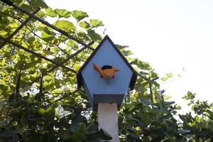 fågel hus är en konstgjorda fågel hus för fåglar till leva i och symboliserar de fåglar levande i de bondens trädgård, byggd och modelleras till likna de natur den där tillåter fåglar till leva, bygga bon foto