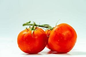 tomater isolera på vit bakgrund. knippa de röd tometos isolerat i vit bakgrund dess färsk näringsrik och citrus foto