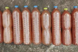 effektiv mikroorganismer vatten eller em den där agriculturist göra från organisk gödselmedel i plast flaska. foto