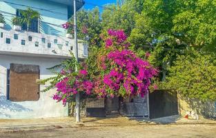 typisk gatuväg och stadsbild av playa del carmen mexico. foto