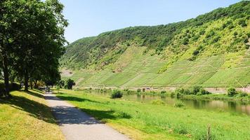 väg längs mosel flod nära cochem stad foto