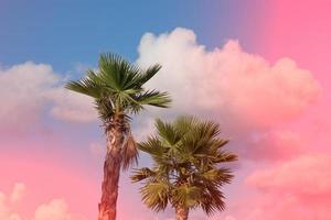 naturlig bakgrund med rosa moln och palmer foto