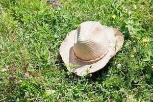 sugrör cowboy hatt på grön gräs foto