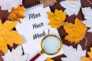 planen din vecka, text, text, i en vit anteckningsbok på en bakgrund, höst, lönn löv. motivering. foto