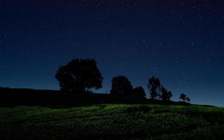 starry natt över grön fält. foto