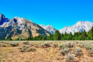 stor teton bergen i fal foto