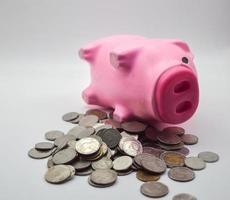 rosa gris liggande på en lugg av mynt vit bakgrund begrepp besparingar Bank konto Bank konto finansiera ekonomi pensionering foto
