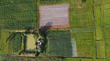 antenn se av berg är vackert thailand foto