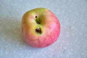 rutten och maskig mask äpple liggande på tabell. foto