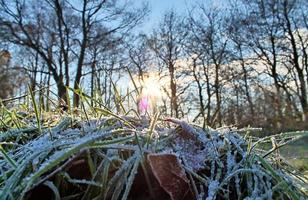 skön vinter- skott på en sjö och skog med snö och is. foto