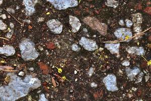 detaljerad stänga upp se på småsten och stenar på en grus jord textur foto