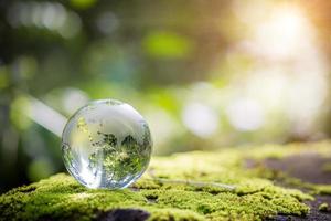 klot planet glas i grön skog med bokeh natur lampor. värld miljö dag. begrepp för miljö bevarande, skydda ekologi jord och miljö- miljövänlig liv med kopia Plats foto