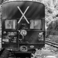 leksak tåg rör på sig på berg backe, skön se, ett sida fjäll, ett sida dal rör på sig på järnväg till de kulle, bland grön naturlig skogs.leksak tåg från kalka till shimla i Indien-svart och vit foto