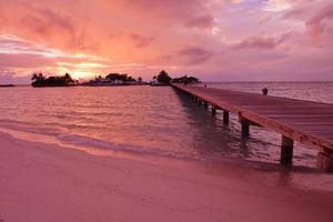 tropisk strand se foto