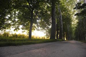 soluppgång i vacker gränd foto