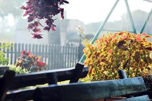 färgrik balkong med blommor foto