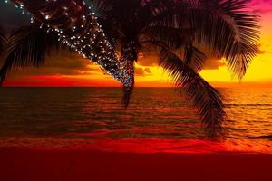 silhuett av handflatan träd på de strand under solnedgång av skön en tropisk strand på rosa himmel bakgrund foto