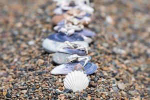 skal och sand strand detalj foto