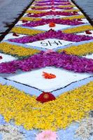 kronblad och blomma matta för corpus domini christi firande foto