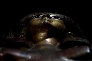 egyptisk drottning sarkofag detalj stänga upp foto