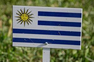 uruguay flagga isolerat på grön gräs foto