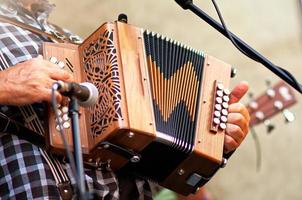 concertina populär dragspel spelare i de gata foto