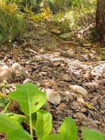 naturskön utsikt över bergen. uzbekistan foto