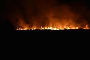 nattbrand i ett fält med eld foto
