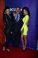 los angeles, 7 januari - asa soltan rahmati, reza farahan, lilly ghalichi deltar på nbcuniversal 2013 tca winter press tour på langham huntington hotel den 7 januari 2013 i pasadena, ca. foto