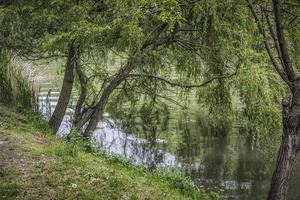 vacker natur på stranden av västra Morava-floden i Serbien foto