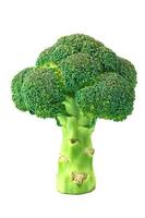 broccoli på isolerad bakgrund urklippsbana foto