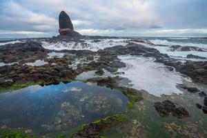 de predikstol sten är en sten belägen i cape schanck, Victoria, Australien. den är i de mornington halvö nationell parkera. foto