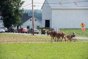 vagn buggy i Lancaster Pennsylvania amish Land foto