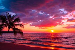 vacker solnedgång tropisk strand med palmträd och rosa himmel för resor och semester i semesteravkopplingstid foto