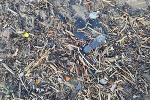 plast avfall skräp sopor på de strand foto