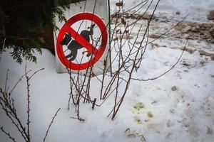 en runda röd tecken förbjuder hund gående på område nära byggnad med gul märken på snö foto