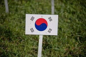 söder korea flagga isolerat på grön gräs foto